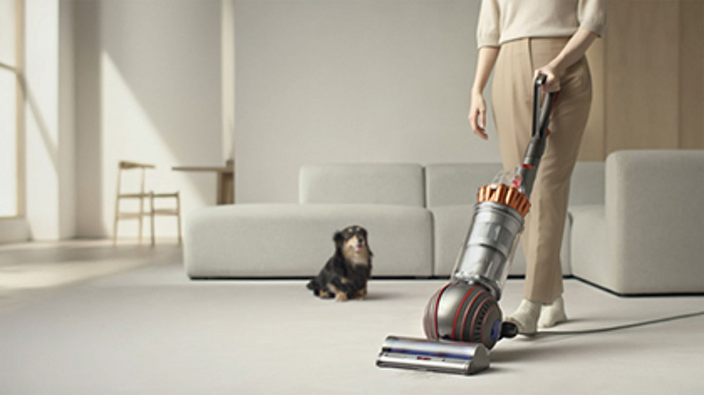 Dyson Ball Animal 3 Extra De-Tangling Vacuum + Grooming For Homes & Pets, Pet Products, Pet, Pets, Feeders, Collars