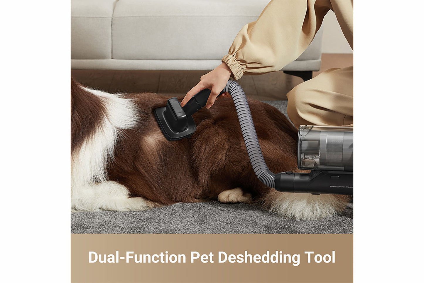 Dreame Z30 Cordless Vacuum Cleaner | VZV17A