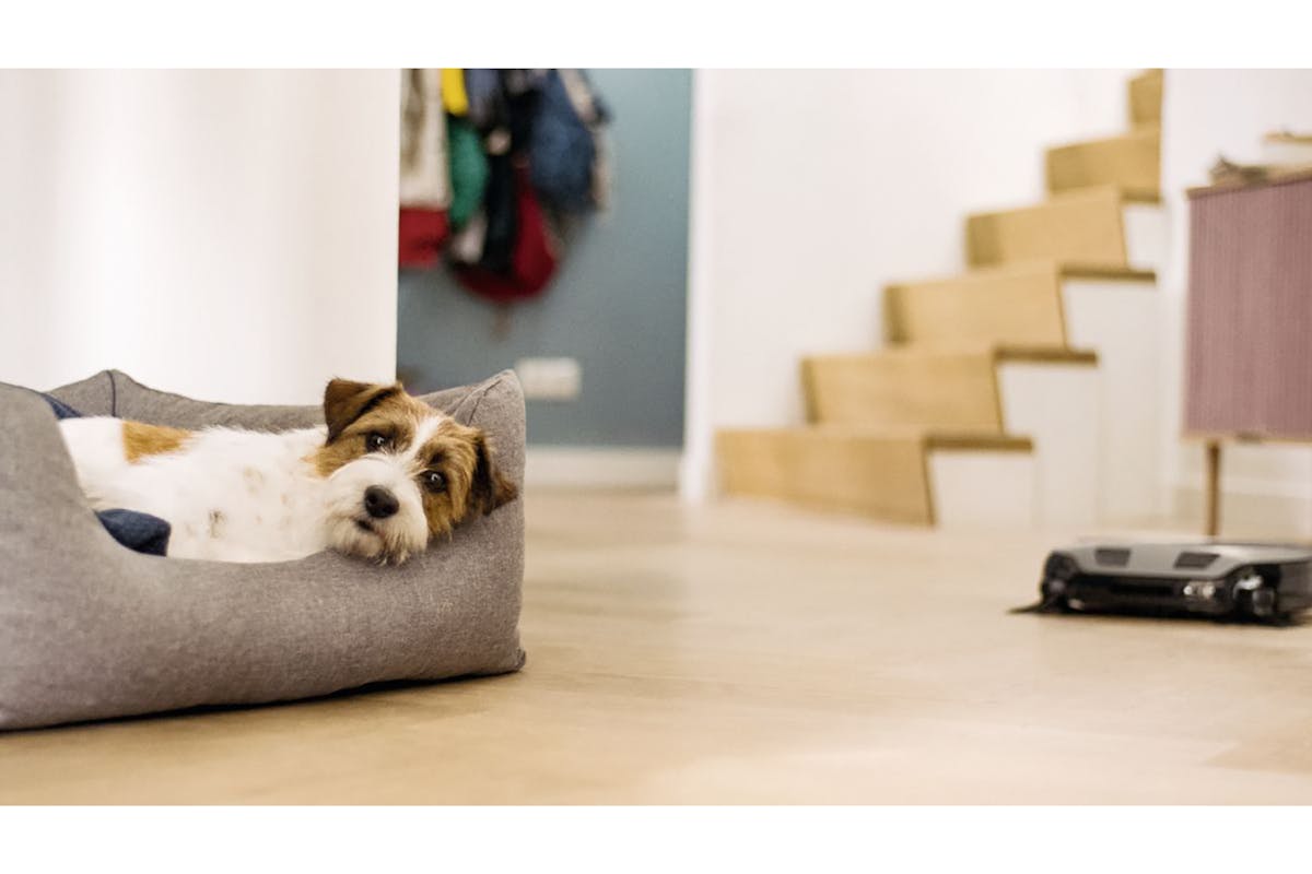 Miele Scout RX3 Runner SPQL Robot Vacuum Cleaner | SCOUTRX3RUNNER