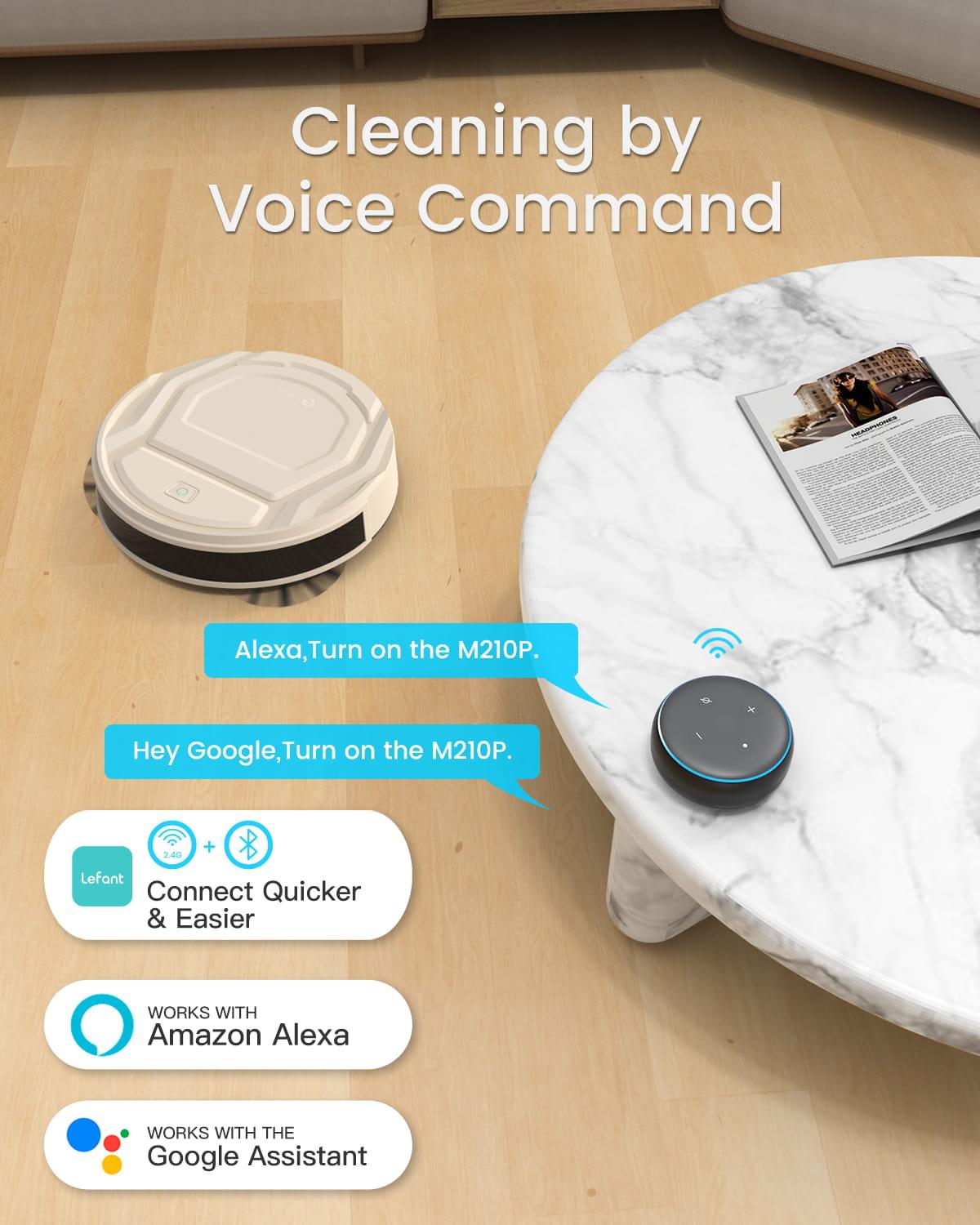 Lefant m210 Pro Champagne